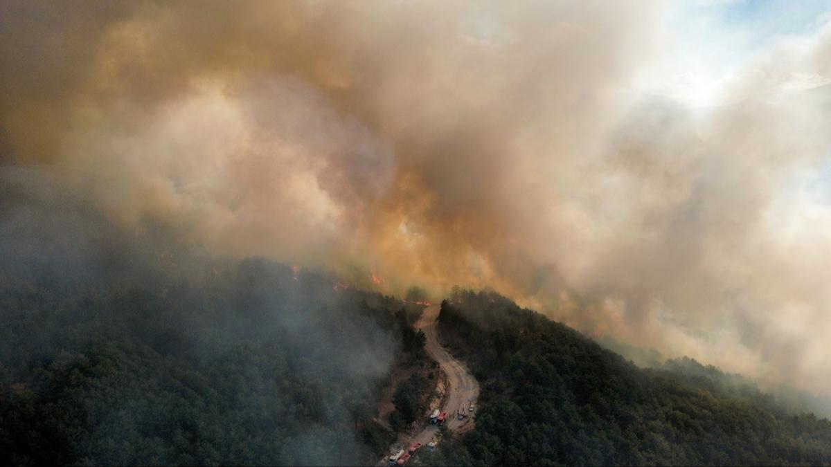 Orman Yangn Karabk Kastamonu Bingl fotoraflar resimleri