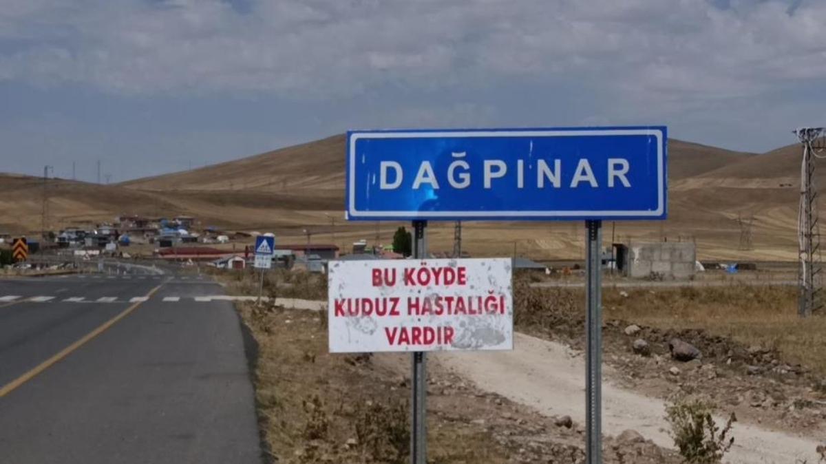 kars kuduz  karantina fotoraflar resimleri