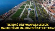 Tekirda Sleymanpaa Dedecik Mahallesi'nde mahkemeden satlk tarla!