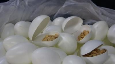 Srpriz yumurtann iinden zehir kt! 6 pheli tutukland