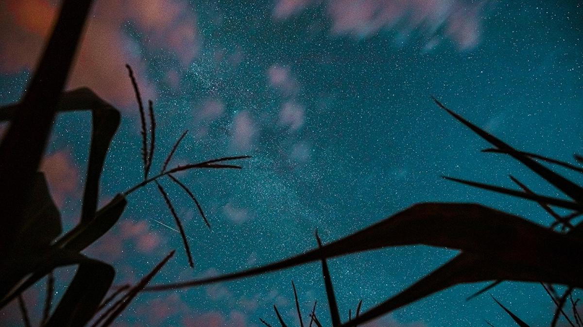 zgvenli hareket kararl admlar denge ve uyum aray astroloji gnlk bur yorumlar fotoraflar resimleri