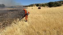 Bodrum ve Mardin'de orman yangn: Mdahale balad
