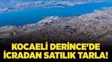 Kocaeli Derince'de icradan satlk tarla!