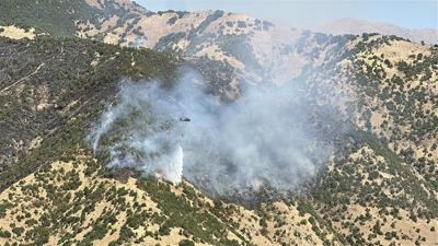 Hakkari'de ormanlk alanda yangn