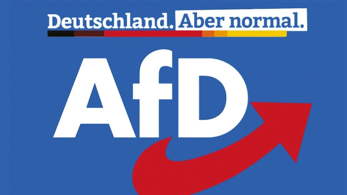 AfD seim  Ralph Lange  salk sorunu  Wolfgang Klinger fotoraflar resimleri
