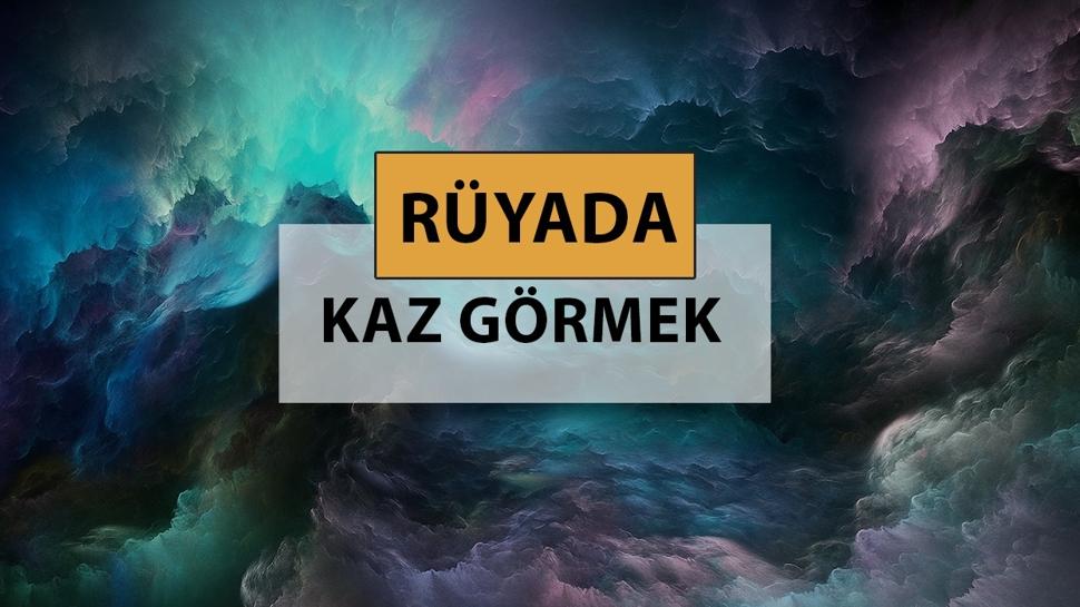 Rüyada kaz görmek ne anlama gelir, ne demek? Rüyada kaz görmek neye delalettir?