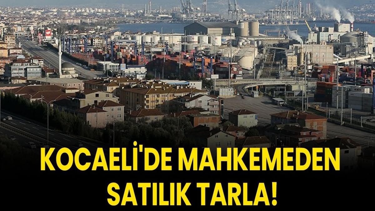 Kocaeli tarla sat kyl mahkeme o mahkeme satlk tarla fotoraflar resimleri
