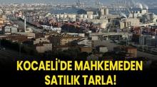 Kocaeli'de mahkemeden satlk tarla!