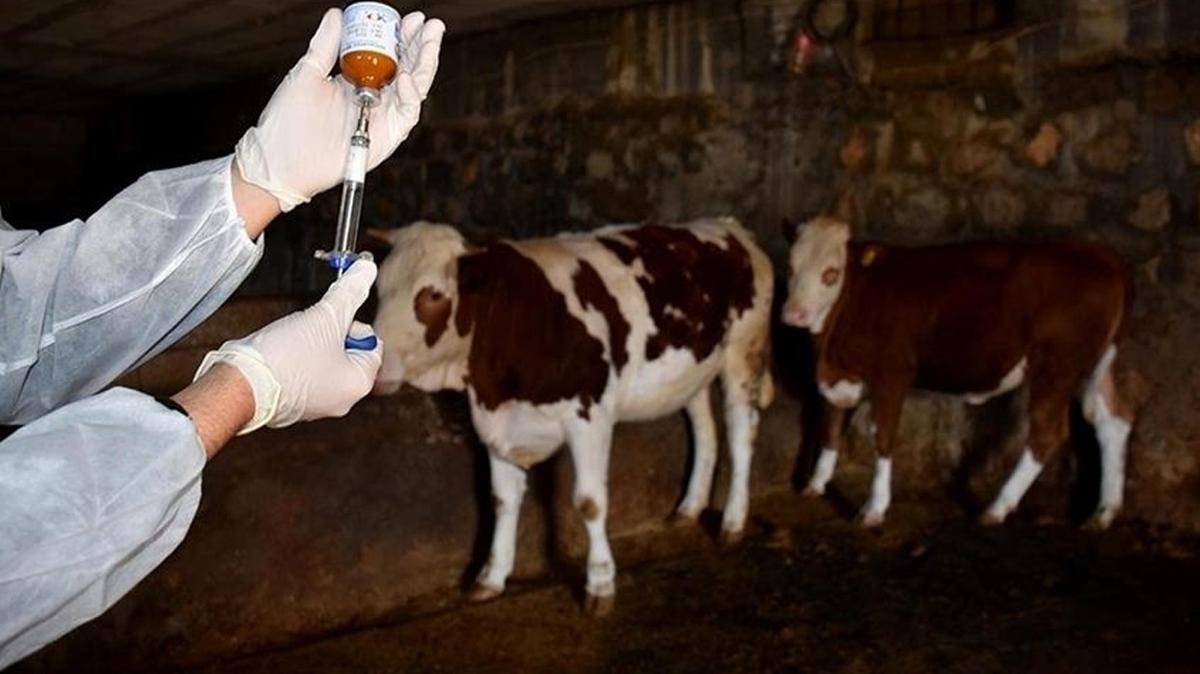 Tarm ve Orman Bakanl  ap a fotoraflar resimleri