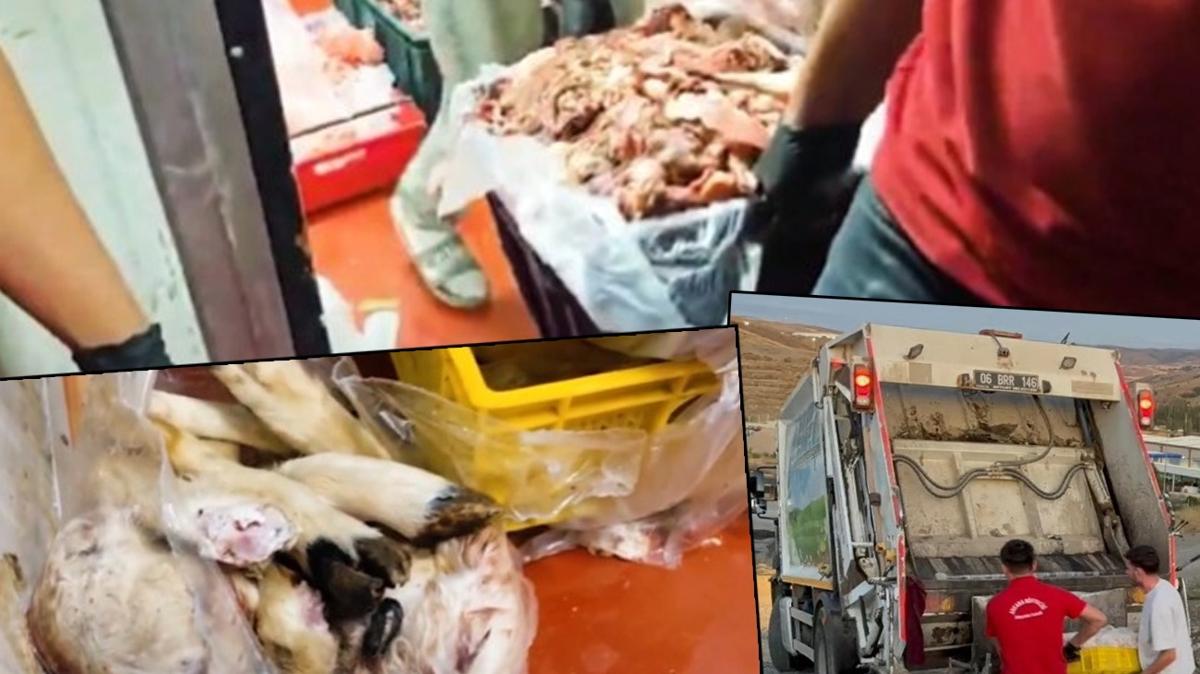 Tarm Bakanl  Gda nceleme  Uygunsuz rn mha fotoraflar resimleri