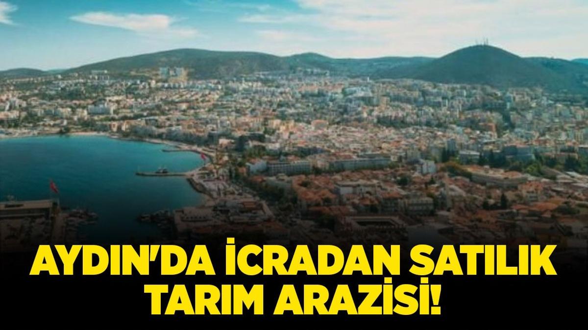 aydn ske tarm arazisi satlk arazi icradan satlk arazi icra ilanlar fotoraflar resimleri