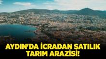 Aydn Ske'de icradan satlk tarm arazisi!