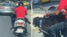 Bakrky'de aklalmaz grnt: Kpeiyle motosiklet srd! te o anlar...