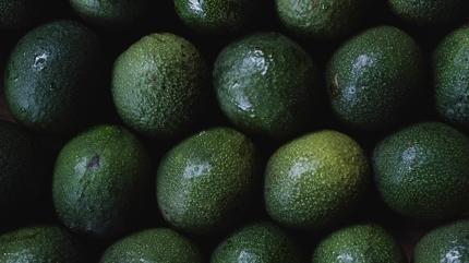 Dnya bu besini tketiyor! Aratrmalar kantlyor, beynin yalanmasn geciktiriyor