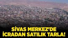 Sivas Merkez'de 9.283 metrekare icradan satlk tarla!