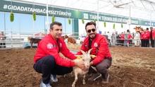 Akll tarm teknolojileri TEKNOFEST'te vitrine kacak