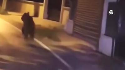 Cep telefonu kamerasyla grntlendi! Ky yolunda aniden karsna kt