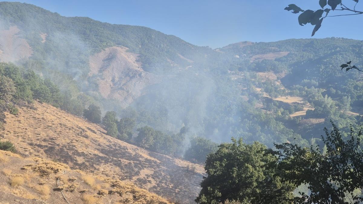 Tunceli Orman Yangn tfaiye fotoraflar resimleri