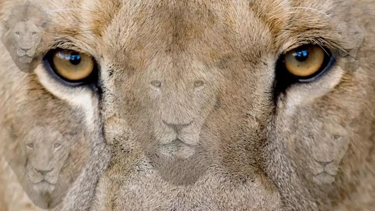 zeka aslan optik illzyon galatasaray test fotoraflar resimleri