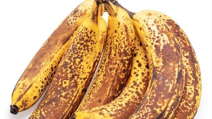 Muz zel yer istiyor! Muzun mrn iki katna karan forml