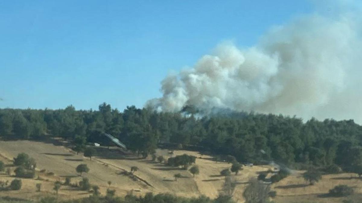 anakkale Orman Yangn tfaiye fotoraflar resimleri