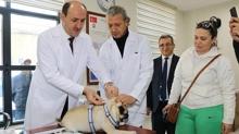 Evcil hayvan sahiplerine mikroip uyars: Son tarih 31 Aralk