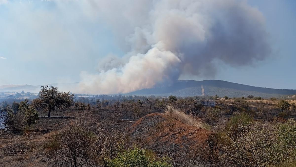 yangn Gelibolu anakkale fotoraflar resimleri