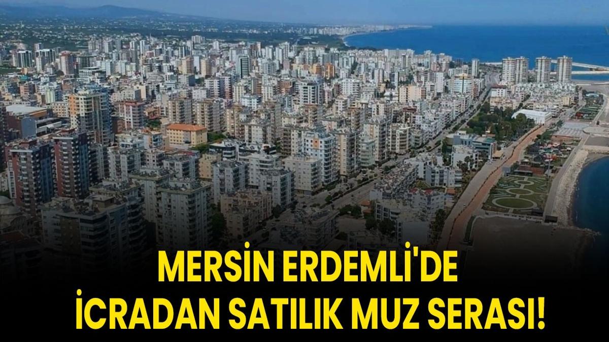 mersin muz seras erdemli icra sat erdemli 2154 metrekare fotoraflar resimleri