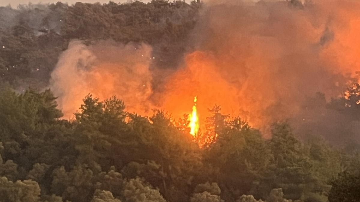 mula milas yangn fotoraflar resimleri