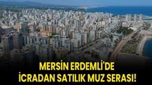 Mersin Erdemli'de icradan satlk muz seras!