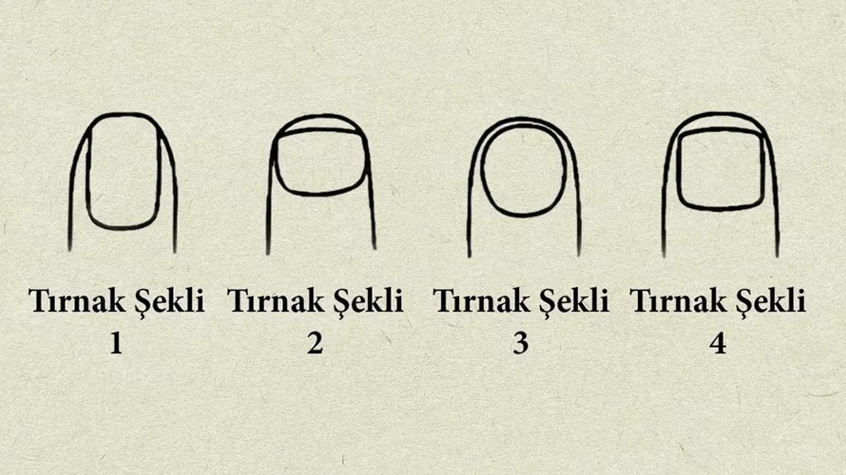 kiilik testi trnak lider fotoraflar resimleri