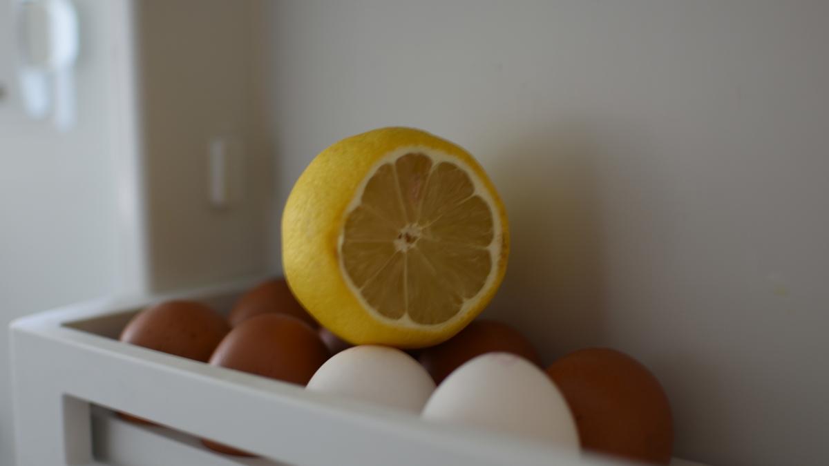limon salk buzdolab fotoraflar resimleri