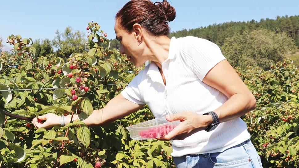 nsanlara bu kez tarmla ifa veriyor