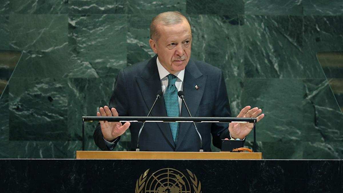 Recep Tayyip Erdoan Birlemi Milletler Kbrs fotoraflar resimleri