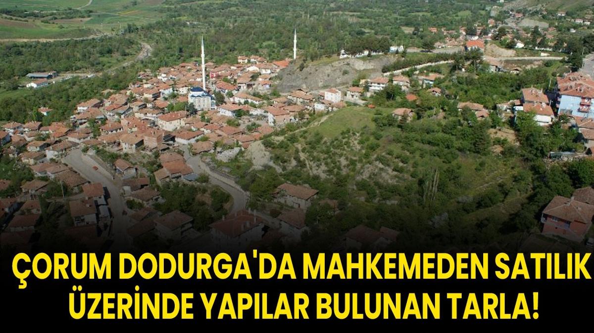orum Dodurga tarla sat mahkeme karar fotoraflar resimleri