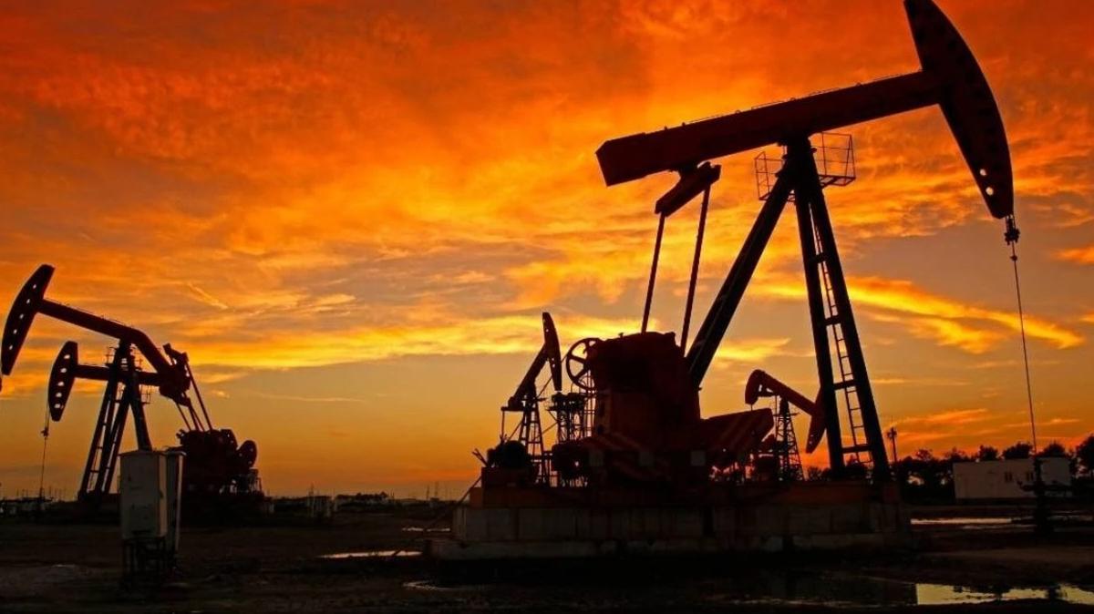 TPAO Petrogas Tekirda Petrol fotoraflar resimleri