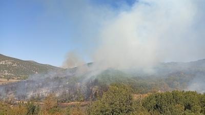 Burdur'da orman yangn!