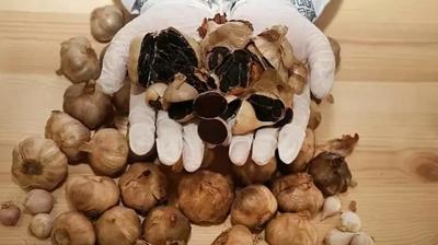 Faydalar saymakla bitmiyor! Siyah sarmsak nasl tketilmeli?