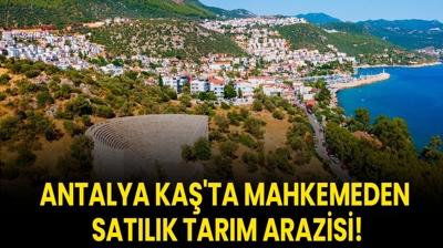 Antalya Ka'ta mahkemeden satlk tarm arazisi!