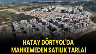 Hatay Drtyol'da mahkemeden satlk tarla!