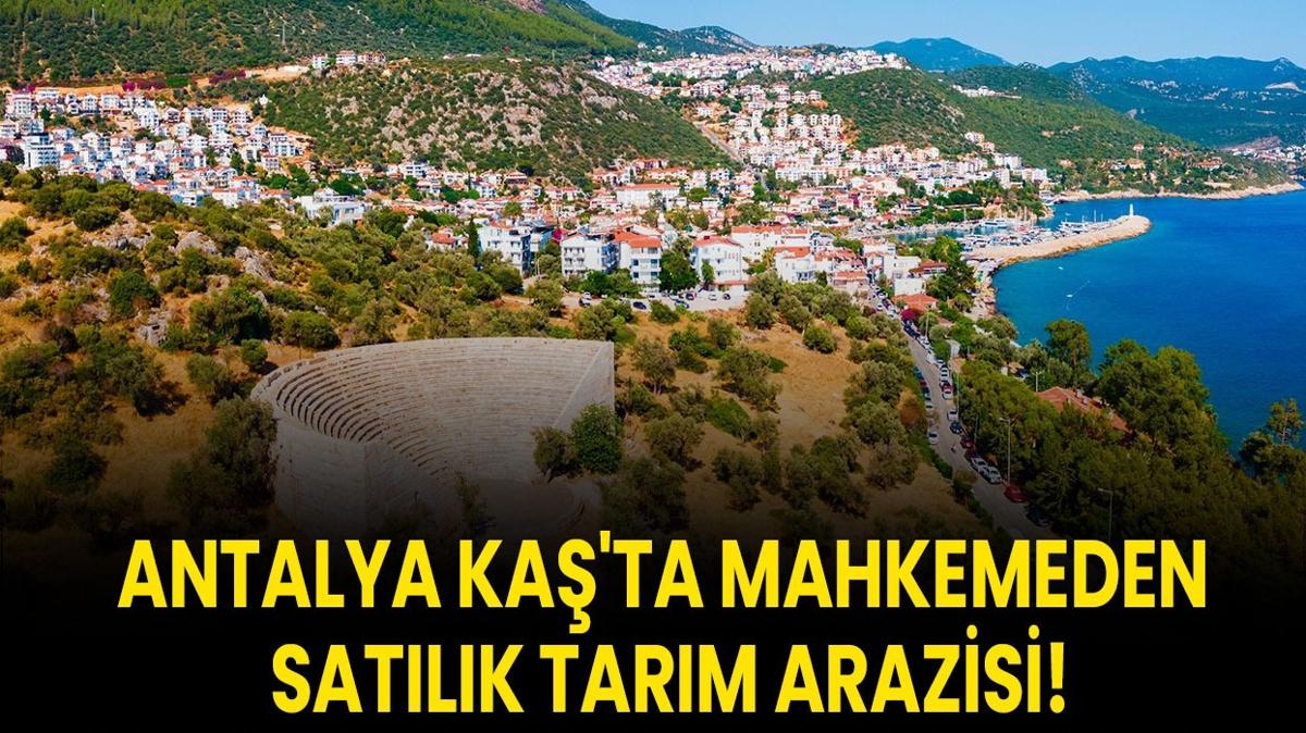 Antalya Ka 4785 metrekare tarm arazisi fotoraflar resimleri