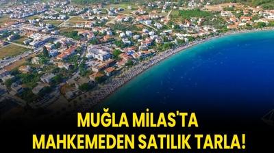 Mula Milas'ta mahkemeden satlk tarla!