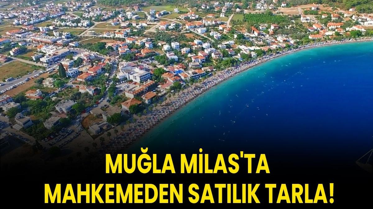 Mula tarla sat  Milas mahkeme  437 metrekare fotoraflar resimleri