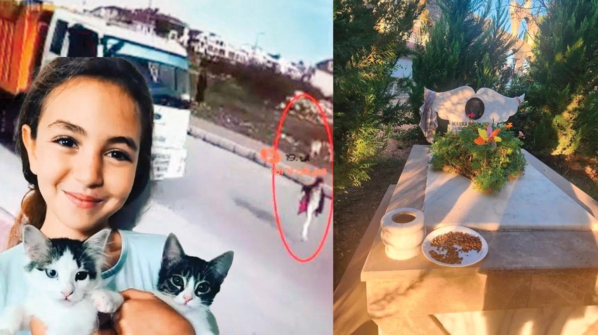 antalya sahipsiz kpek kamyon mahra melin pnar mezar kpek mamas fotoraflar resimleri