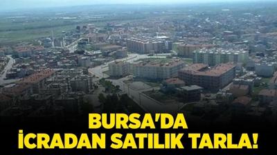 Bursa Karacabey'de 8.619.691 TL'ye icradan satlk tarla!
