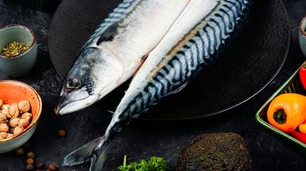 Tanesi 350 TL! Palamut nasl piirilir? Palamutun faydas ne?