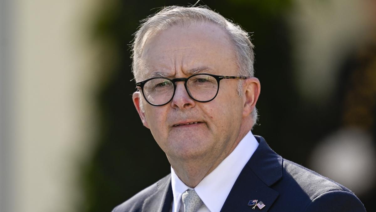Filistin Devleti Anthony Albanese Orta Dou fotoraflar resimleri