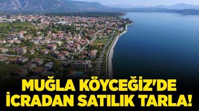 Mula Kyceiz'de 25.063.923 TL'ye icradan satlk tarla!