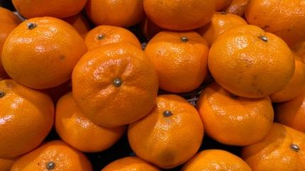 Mandalina kabuu tketilir mi?