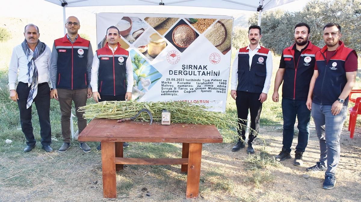 cudi gabar susam retim ifti imece fotoraflar resimleri
